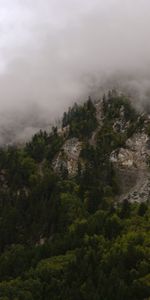 Nature,Trees,Mountains,Clouds,Rocks,Forest,Fog