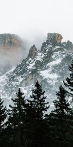 Nature,Trees,Mountains,Clouds,Snow