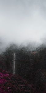 Montagnes,Brouillard,Nature,Nuages,Arbres,Végétation,Paysage