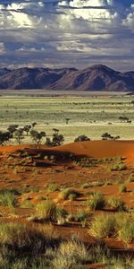 Naturaleza,Árboles,Arena,Desierto,Plantas,Montañas