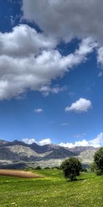 Nature,Trees,Mountains,Field,Landscape