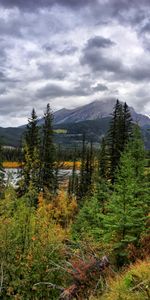 Nature,Trees,Mountains,Fog,Landscape