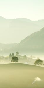 Arbres,Nature,Brouillard,Vallée,Montagnes