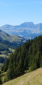 Les Collines,Collines,Arbres,Montagnes,Forêt,Nature,Paysage