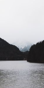 Nature,Trees,Mountains,Forest,Ripple,Ripples,Fog