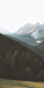 Nature,Trees,Mountains,Forest,Slopes,Fog