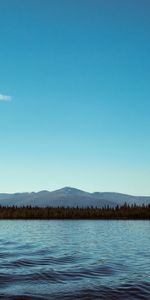 Naturaleza,Árboles,Horizonte,Lago,Ondulación,Montañas,Ondulaciones