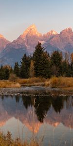 Nature,Trees,Mountains,Lake,Reflection,Landscape