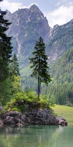 Naturaleza,Árboles,Montañas,Lago,Orilla,Banco,Paisaje