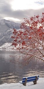 Nature,Trees,Mountains,Landscape,Lakes