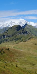 Paysage,Nature,Arbres,Pré,Montagnes