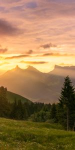 Nature,Pelouse,Arbres,Montagnes,Coucher De Soleil,Paysage