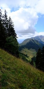 Naturaleza,Cordillera,Árboles,Montañas,Verduras,Paisaje