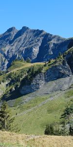 Nature,Trees,Mountains,Relief,Landscape