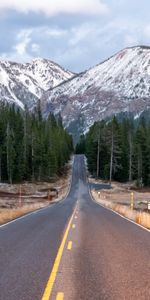 Nature,Route,Forêt,Arbres,Montagnes,Paysage