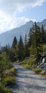 Nature,Trees,Mountains,Road,Forest,Landscape