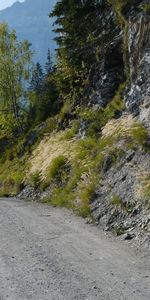 Paisaje,Naturaleza,Árboles,Montañas,Camino