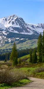 Nature,Trees,Mountains,Road,Spruce,Fir,Snow Covered,Snowbound