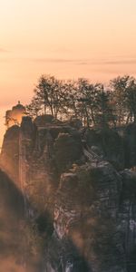 Nature,Trees,Mountains,Rocks,Fog