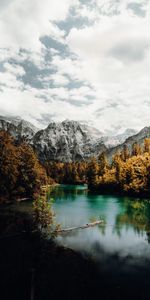 Nature,Trees,Mountains,Rocks,Lake,Snow Covered,Snowbound