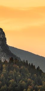 Naturaleza,Las Rocas,Rocas,Bosque,Pendiente,Cuesta,Árboles,Montañas