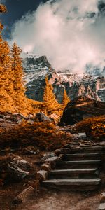 Nature,Trees,Mountains,Rocks,Vertex,Tops,Landscape