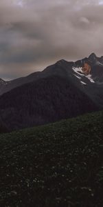 Forêt,Pente,Arbres,Montagnes,Bonfire,Nature