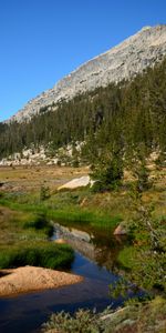 Nature,Trees,Mountains,Slope,Rivers,Rocks