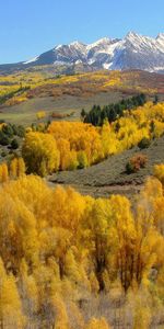 Árboles,Montañas,Pendientes,Laderas,Naturaleza,Otoño