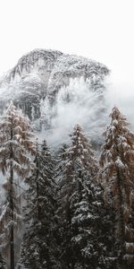 Nature,Trees,Mountains,Snow,Fir,Spruce,Snow Covered,Snowbound