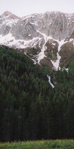 Nature,Trees,Mountains,Snow,Rocks,Vertex,Tops