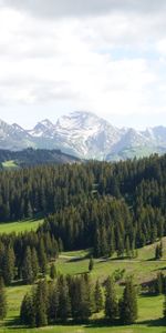 Árboles,Montañas,Nieve,Cubierto De Nieve,Nevado,Dahl,Distancia,Naturaleza