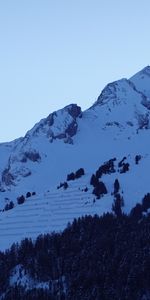 Sommet,Hauts,Snowbound,Montagnes,Neige,Forêt,Couvert De Neige,Nature,Arbres