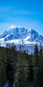 Naturaleza,Árboles,Arriba,Bosque,Paisaje,Montañas,Nieve,Vértice