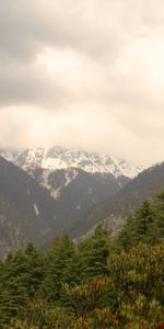 Naturaleza,Árboles,Montañas,Nieve,Arriba,Cubierto De Nieve,Nevado,Vértice