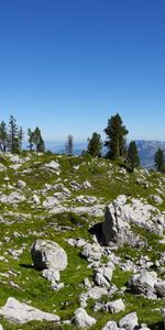 Nature,Trees,Mountains,Stones,Landscape