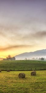 Naturaleza,Montañas,Sol,Niebla,Polyana,Claro,Heno,Fardos,Balas,Agosto,Árboles,Serenidad