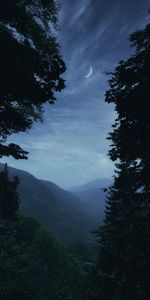 Montagnes,Nature,Brouillard,Arbres,Crépuscule,Lune,Paysage