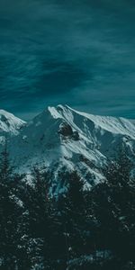 Naturaleza,Árboles,Montañas,Noche,Crepúsculo,Nieve,Oscuridad