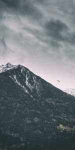 Nature,Trees,Mountains,Vertex,Top,Snow Covered,Snowy,Paraglider,Paragliding