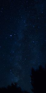 Nature,Trees,Night,Croatia,Starry Sky