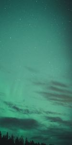 Nature,Trees,Night,Starry Sky,Northern Lights,Aurora Borealis