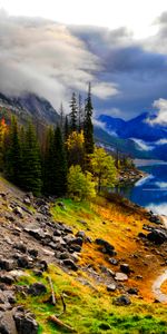 Nature,Trees,Path,Slope,Lake,Mountains,Landscape