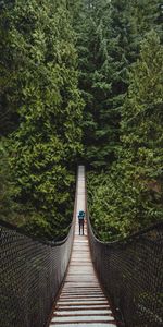 Nature,Trees,Person,Suspension Bridge,Human,Forest