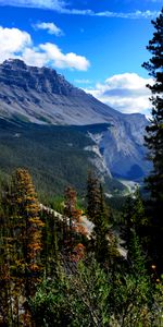 Nature,Trees,Pine,Mountain,Landscape