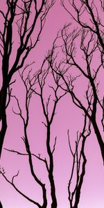 Nature,Trees,Pink,Silhouette,Dark