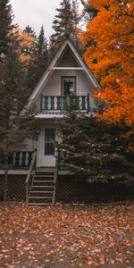 Nature,Intimité,Isolement,Arbres,Confort,Loger,Petite Maison,Automne