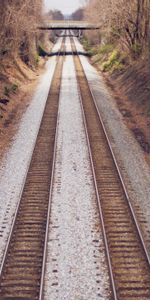 Nature,Trees,Railway,Autumn