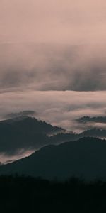 Naturaleza,Árboles,Niebla,Alivio,Las Colinas,Colinas