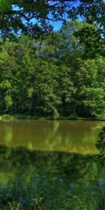 Nature,Trees,Rivers,Germany